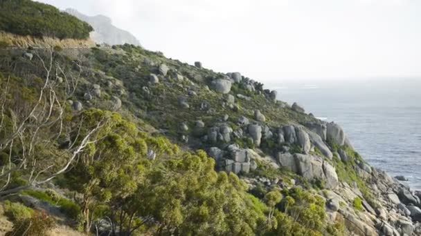 Montagne de table 