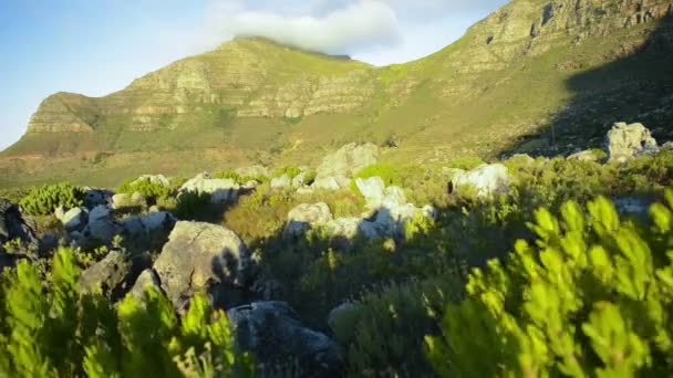 Table mountain nature — Stock Video