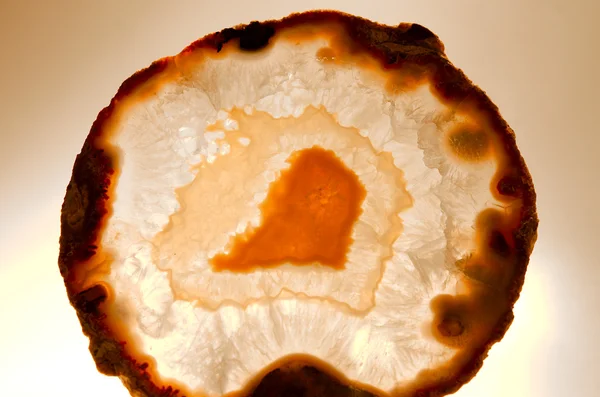 천연 옥수의 백라이트 얇은 슬라이스 — 스톡 사진