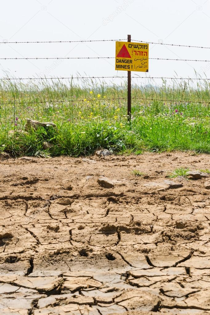 Dried soil and flowered minefield