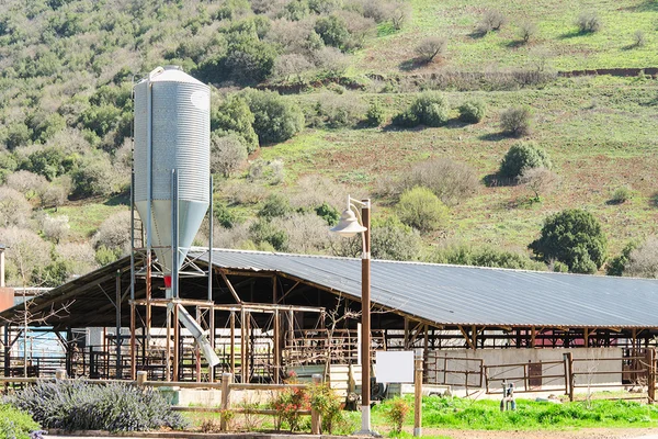 Rustic cowshed with silo in the countryside — Stock Photo, Image