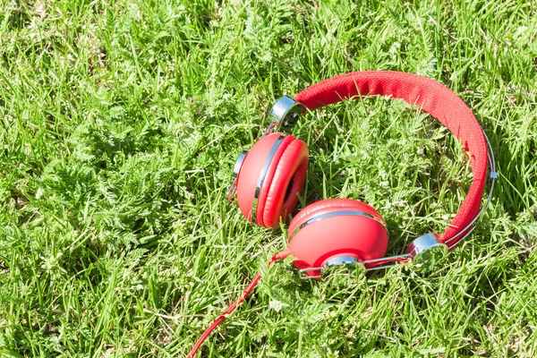Colorful red headphones on sunlight glade — Stock Photo, Image