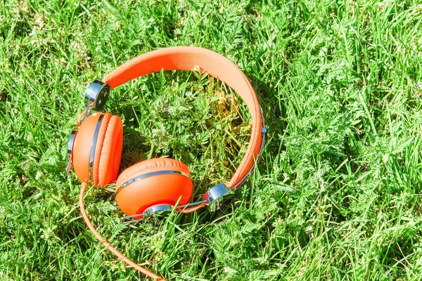 Bright orange colorful headphones on fresh sward