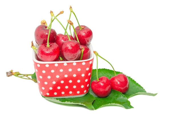 Ripe sweet and juicy cherry tasty berry wet fruits — Stock Photo, Image