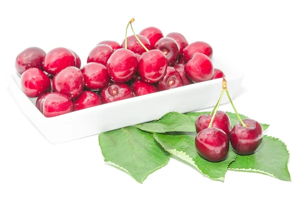 Dark vinous cherry berries served in square white dish — Stock Photo, Image