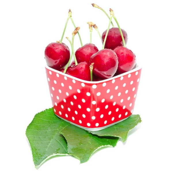 Summer dessert ripe cherry wet with drops berries — Stock Photo, Image