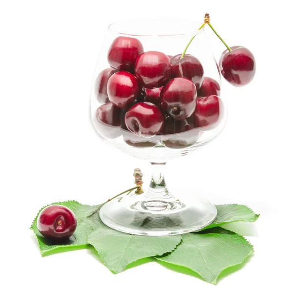 Cherry berries fruits in clear wineglass on green fresh leaves — Stock Photo, Image