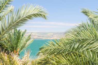 Lake Kinneret or Sea of Galilee in the frame of palm fronds clipart