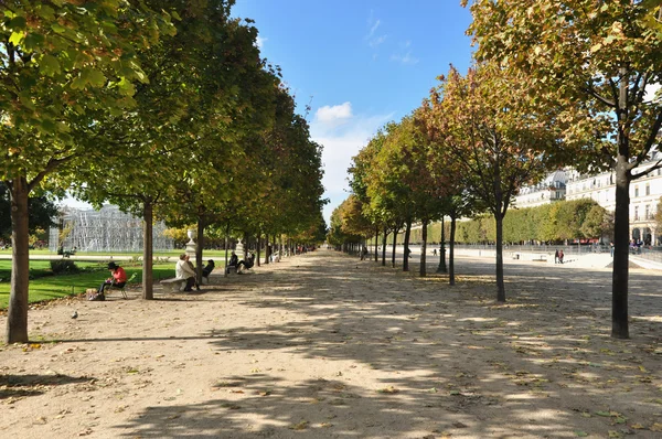 Paris 'te sonbahar