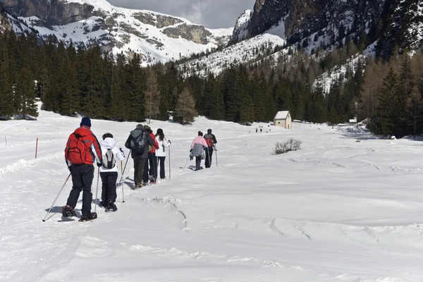 Snowshoeing através do parque natural Puez-Odle — Fotografia de Stock