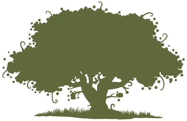 Big tree silhouette — Stock Vector