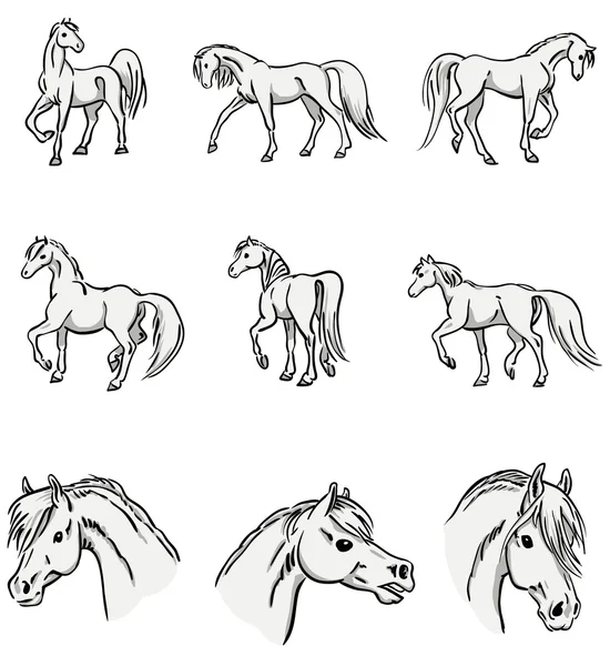 Walking arabské koně — Stockový vektor