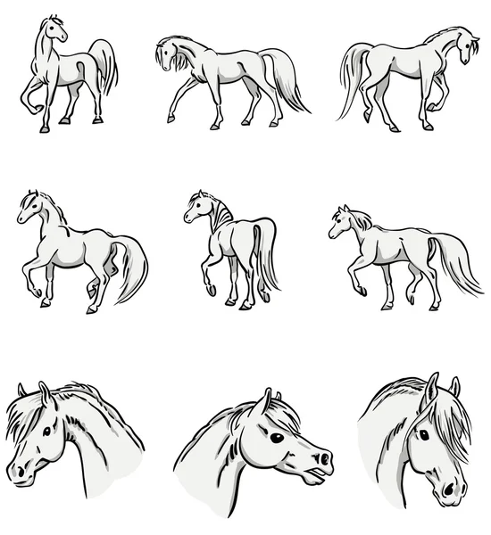 Chevaux arabes marchants — Image vectorielle