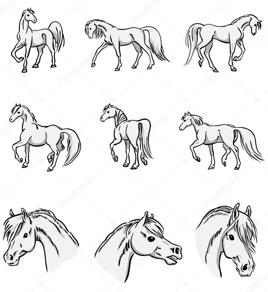 Una raccolta di sei cavalli arabi in diverse posizioni a piedi e tre diversi ritratti ogni cavallo ¨ costituito da tre colori sul bianco ogni colore ¨ su