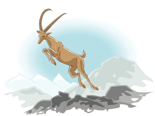 Jumping ibex — Stock Vector