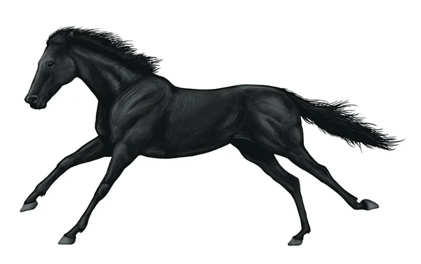 Скаковая лошадь — стоковое фото