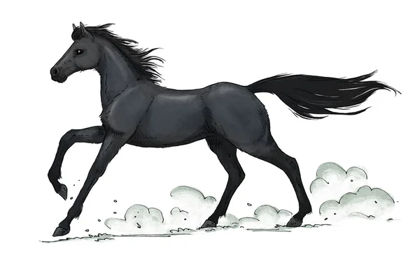 Schwarzes Pferd galoppiert — Stockfoto