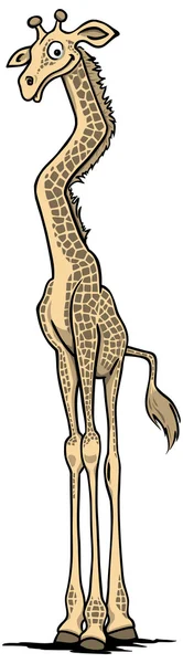 Girafe — Image vectorielle