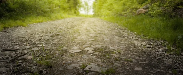 Sunlit Stonepath — Stock Photo, Image