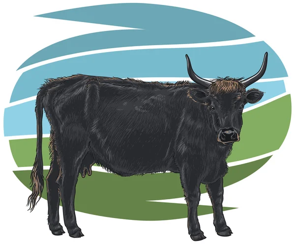 Aurochs — Stock Vector