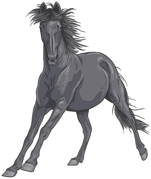 Isolado preto galopando cavalo ilustração — Vetor de Stock