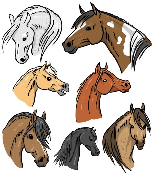 Paard portret verzameling — Stockvector