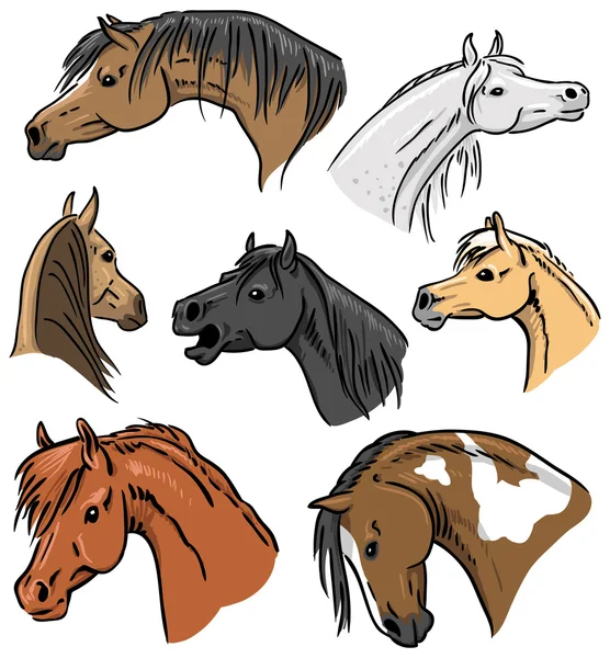 Colección de retratos de caballo — Vector de stock