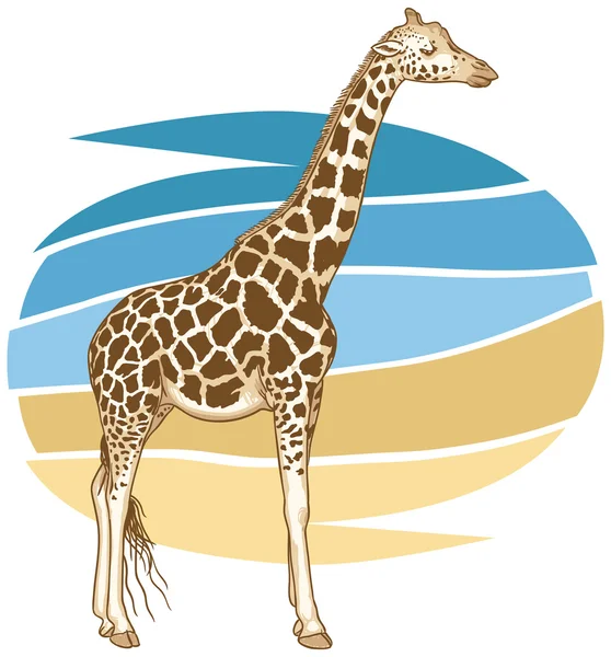 Girafă ilustrație — Vector de stoc