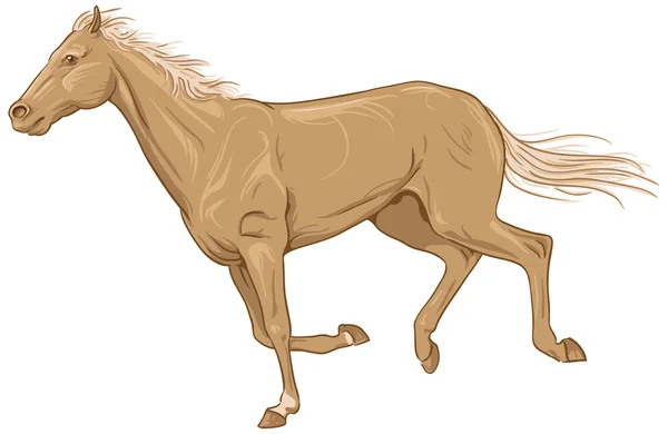 Geïsoleerde galopperend palomino — Stockvector