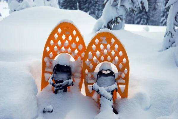 Raquetas de nieve en la nieve — Foto de Stock