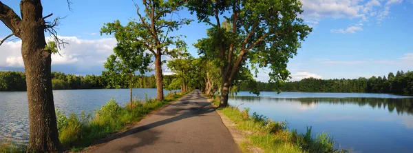 Strada tra stagni — Foto Stock