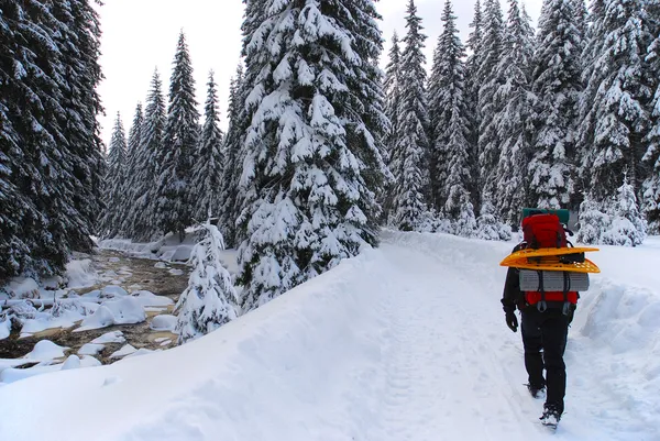 Homem atravessa a floresta com sapatos de neve — Fotografia de Stock