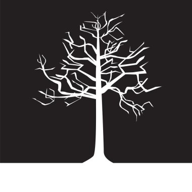 siyah-beyaz ağaçlar - bahar