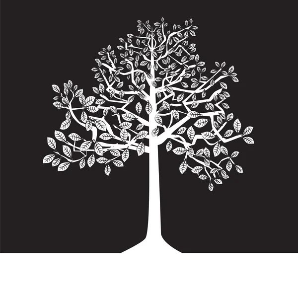 siyah-beyaz ağaçlar, siluet, yaz