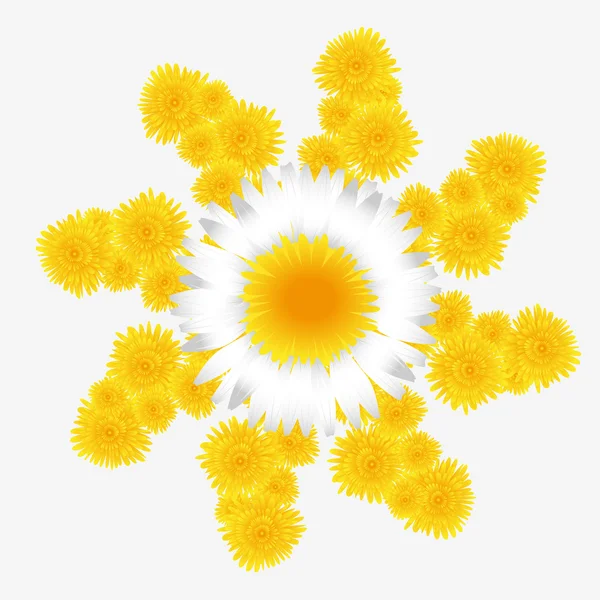Dandelion and daisy flower — Stock Vector
