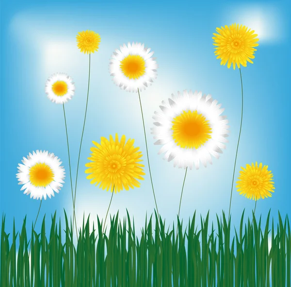 Dandelions and marguerites — Stock Vector