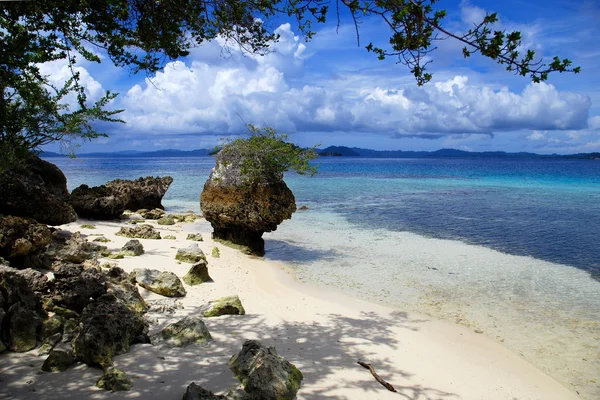 Spiaggia selvaggia indonesiana — Foto Stock