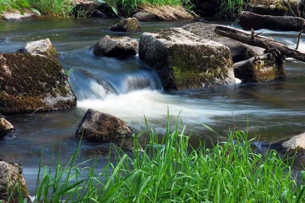 Spring flowing stream — Stock Photo, Image