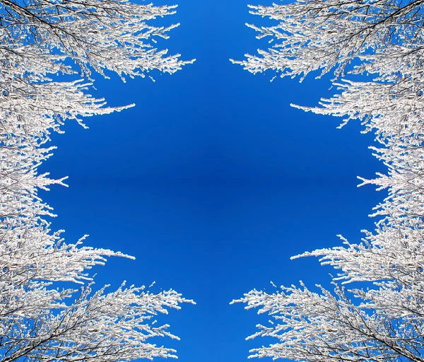 Рамка з гілок снігу — стокове фото