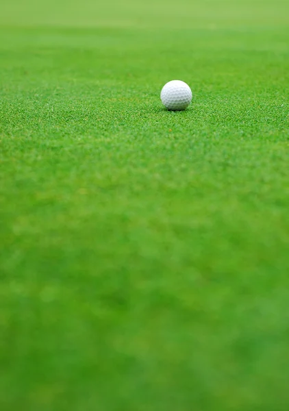 Golfbal op de groene — Stockfoto