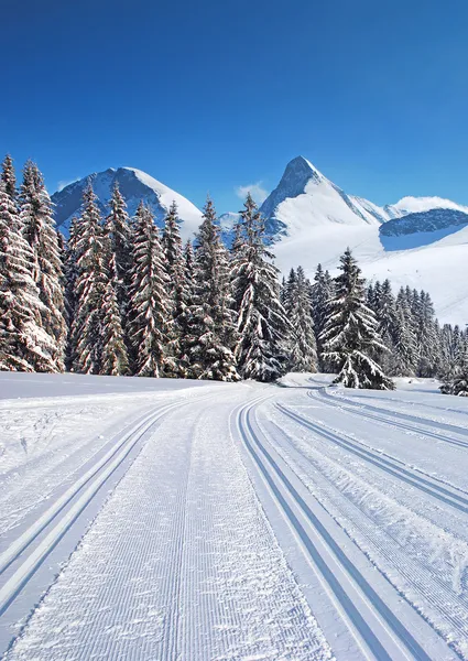 Langlaufloipe — Stockfoto