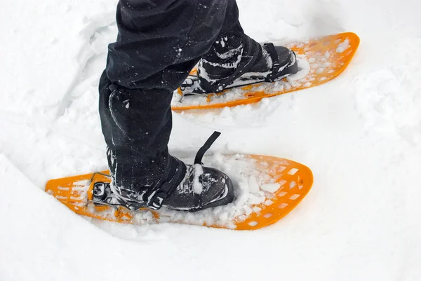 Sneeuwschoenen in de sneeuw — Stockfoto