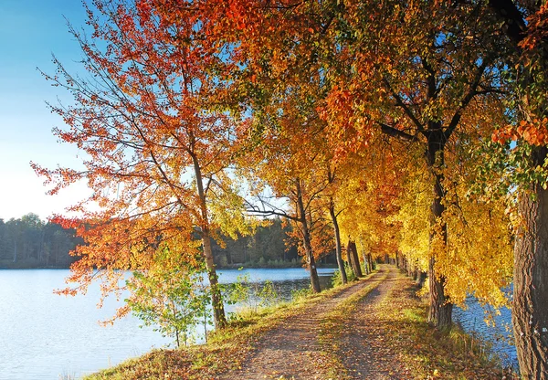 Autumn colors under blue sky — Stock Photo, Image