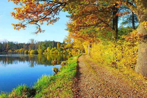 Colores de otoño bajo el cielo azul —  Fotos de Stock