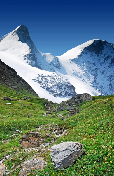 Hautes montagnes enneigées — Photo