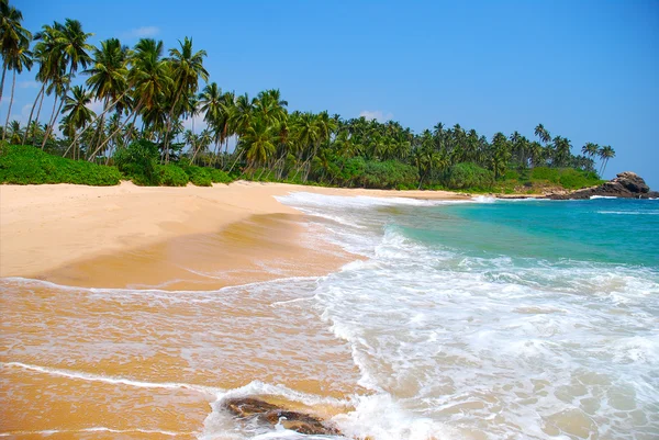 Praia com coqueiros — Fotografia de Stock