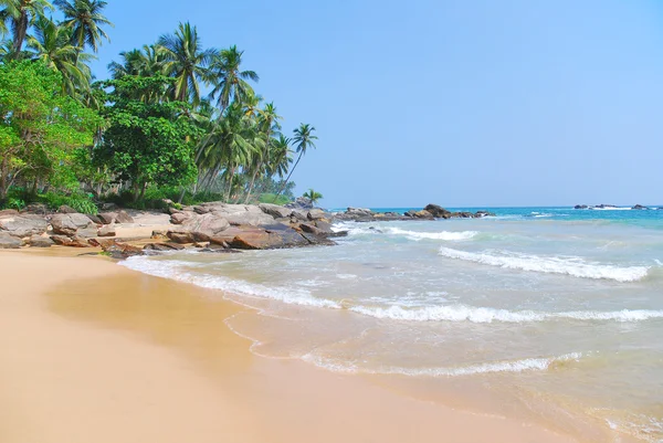 A kókuszpálmákkal Beach — Stock Fotó