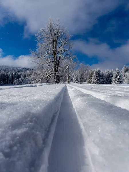 Langlaufen Bergen Het Parcours — Stockfoto