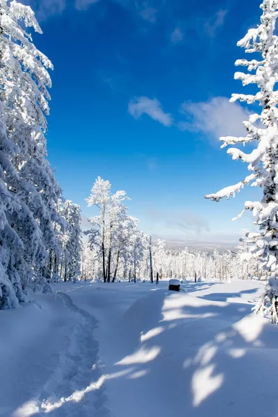 在蓝天下的山水里 冬季的雪地里 脚印在雪地里 — 图库照片