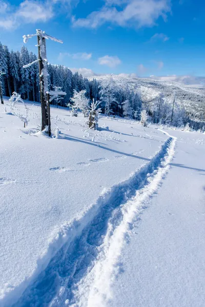 Vinterlandskap Och Bergslandskap Vintern Med Massor Snö — Stockfoto